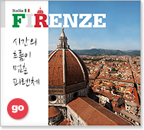 ��Ż���� �Ƿ�ü