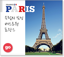 ������ �ĸ�